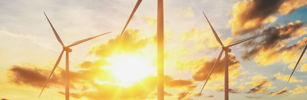 100% Renewable Energy