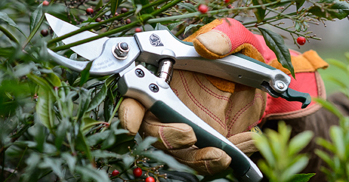 Bulldog Gardening Range