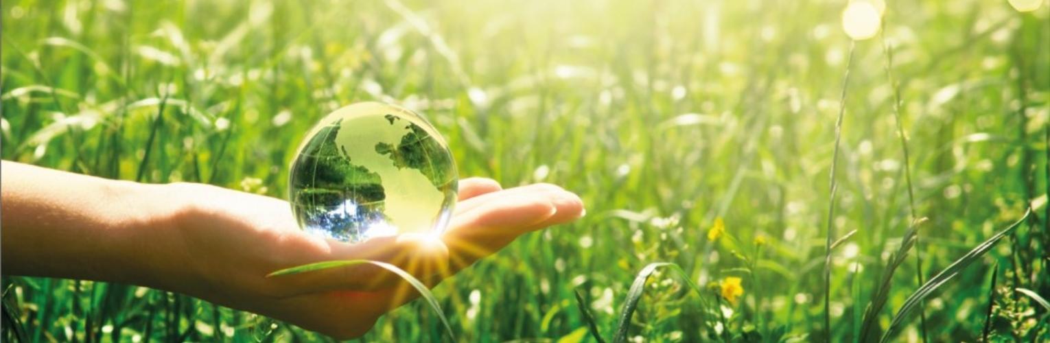 Hand holding a small globe in the grass