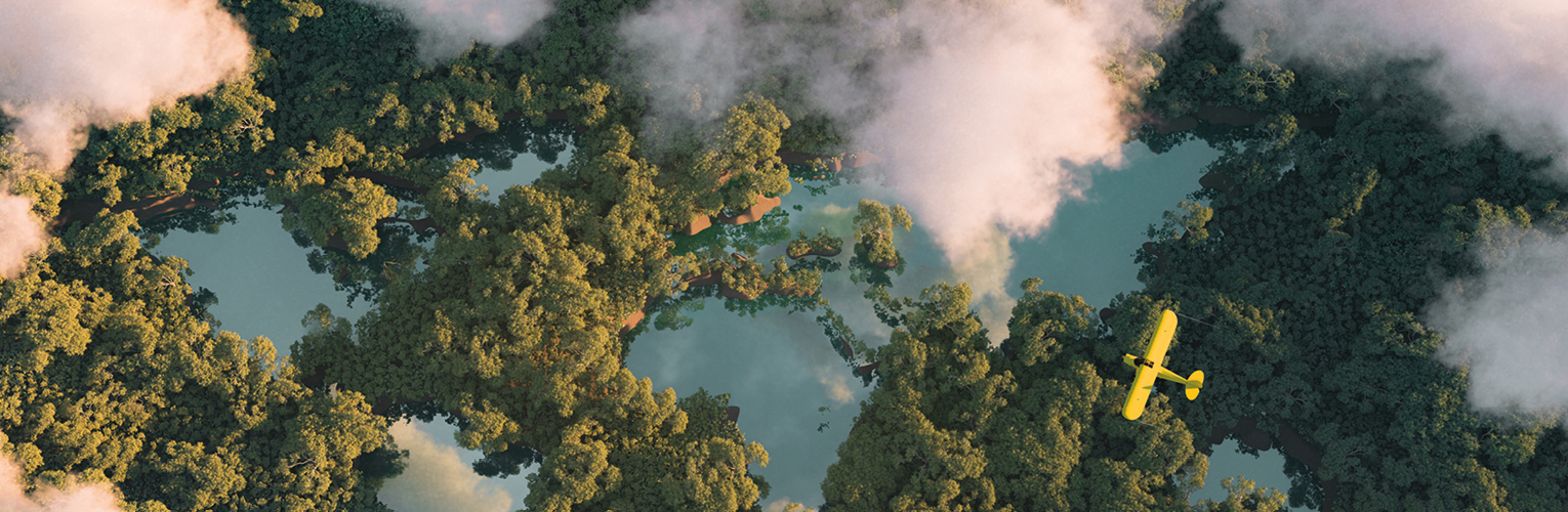 trees and clouds from a height